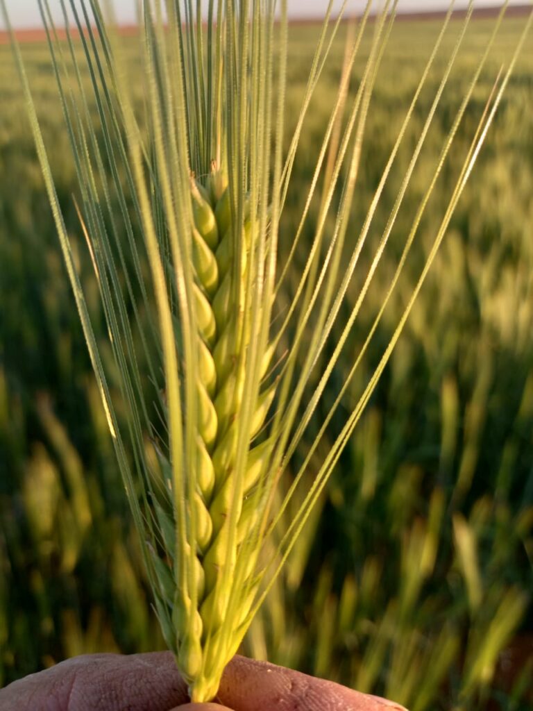 WhatsApp Image 2026-01-13 at 12.57.22 PM