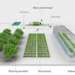 أنظمة الري بالتنقيط